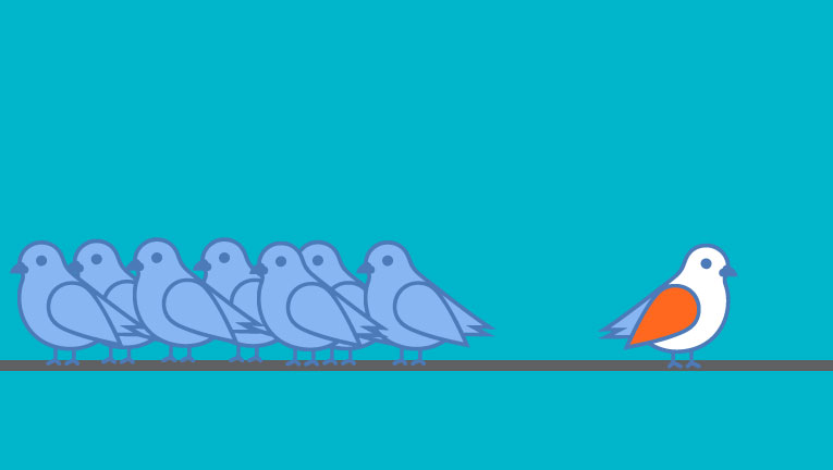 pajaros