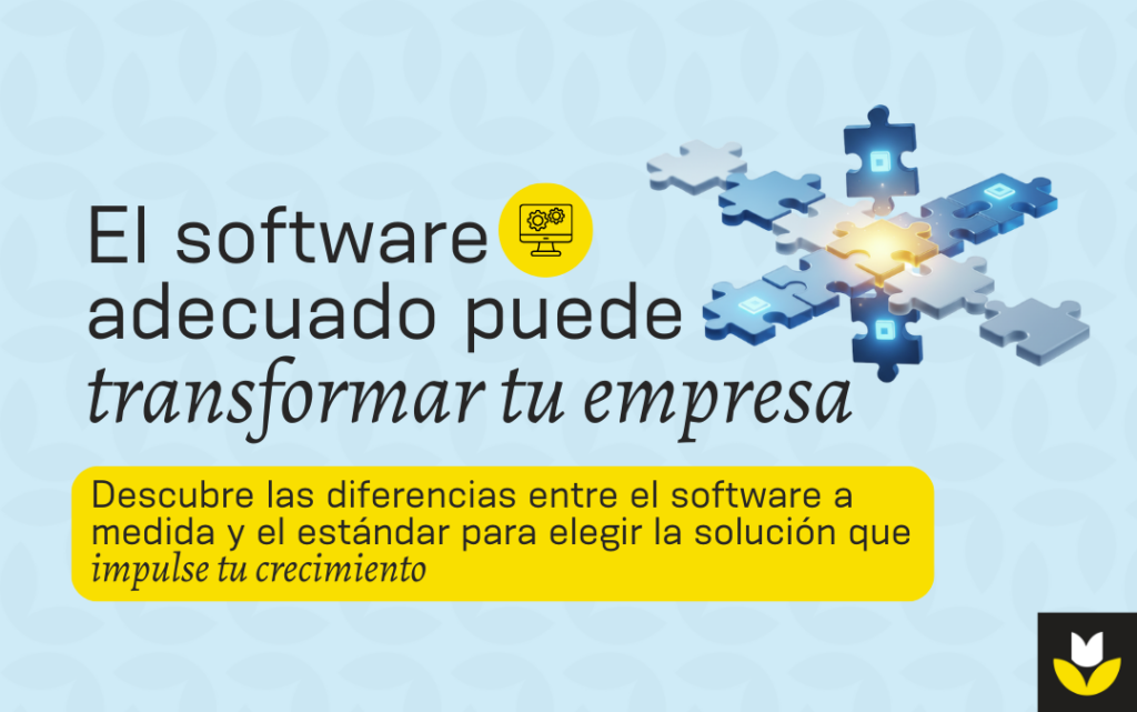 software estándar y software a medida