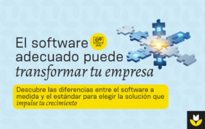 software estándar y software a medida